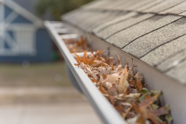 Leaf Barrier Installation in Taylor