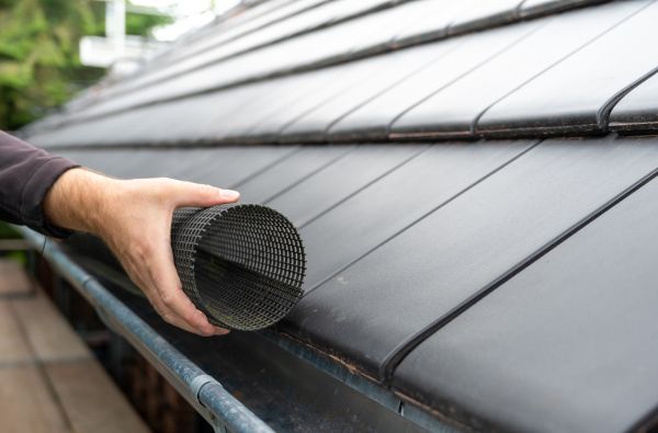 Gutter Mesh Installation in Taylor