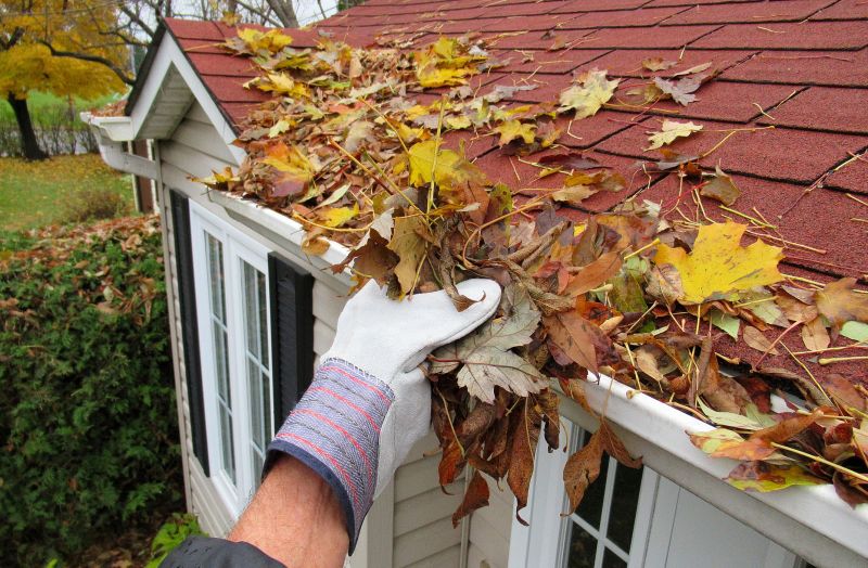Seasonal Gutter Services